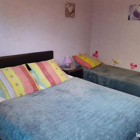 Chambres D'Hotes Les Nefliers Amboise Exterior foto